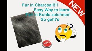 How I draw FUR in CHARCOAL- Wie male ich Fell in KOHLE?