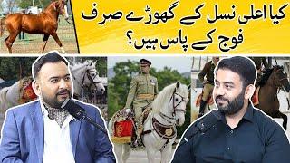 Who Owns Pakistan's Expensive Horse Breeds? | Ft. Ali Fawad | Think Digital