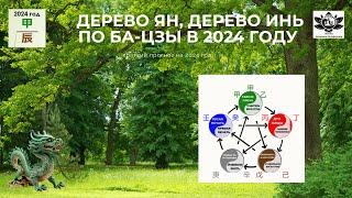 Дерево Ян, Дерево Инь в 2024 году, краткий прогноз по элементам личности