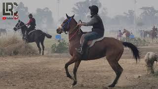 Lahore Race Club Morning Workouts | LRC TV