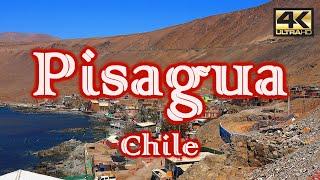 Turismo en PISAGUA – CHILE ¿Qué visitar? [4K]