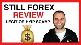 STILL FOREX REVIEW | LEGIT INVESTMENT OR HYIP SCAM? THE TRUTH REVEALED