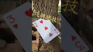 Amazing Flying Card collections | card flying tricks #shorts |EP#619