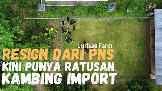 Success of Imported Goat Cages, Healthier and More Productive | Lurisae