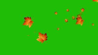 4K, Falling Leaves Green Screen, Green Screen Dry Leaf Particles Background
