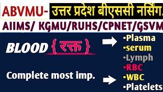 Human Blood | Blood | Red Bone Marrow | Plasma | RBC | platelets | Blood cel | white Blood Cells WBC