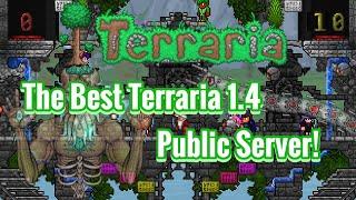 The Best Terraria Public Server! (IOS/ANDROID) (PEDGUINS SERVER) | Terraria 1.4