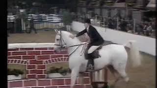 Caroline Bradley & Tigre  - Horse Of The Year Show, 1980