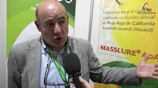 Entrevista a Abel Zaragoza - MASSÓ - AGROFEROMONAS