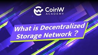 What is Decentralized Storage Network?