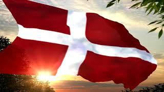 Danish EU4 Flag