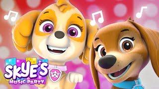 PAW Patrol Skye Has a Dance Party! w/ Liberty & Everest | Skye's Music Party | Shimmer and Shine