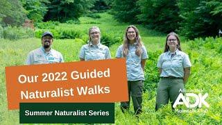 Our 2022 Guided Naturalist Walks