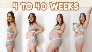 WEEK BY WEEK PREGNANT BELLY GROWTH | 4 to 40 Weeks Transformation (EVERY WEEK)