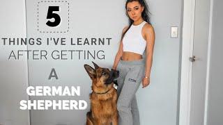 5 THINGS I'VE LEARNT AFTER GETTING A GERMAN SHEPHERD