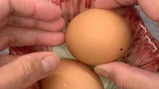 Love jane vlog is live  #asmr CRACKING Boiled  Duck  Egg  #viralvideo