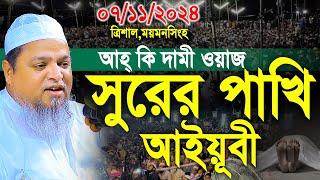 খালেদ সাইফুল্লাহ আইয়ুবী 2024। allama khaled saifullah ayubi new waz। খালেদ সাইফুল্লাহ আইয়ুবী ওয়াজ