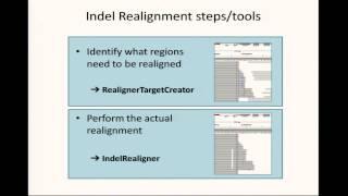 BroadE: Indel realignment