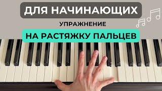 Упражнение на растяжку пальцев для фортепиано l Как брать широкие аккорды l Как брать октаву