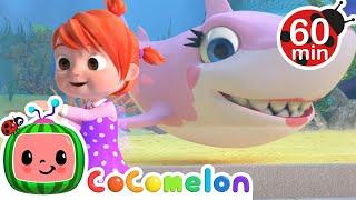 Baby Shark | CoComelon - Moonbug Kids - Learning Corner