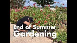 Revitalizing an End of Summer Pollinator Garden 