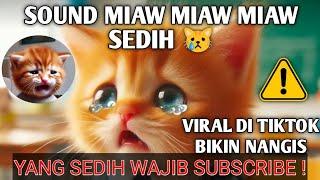 Miaw Miaw Miaw Miaw Sound Sad Viral Tiktok 2024