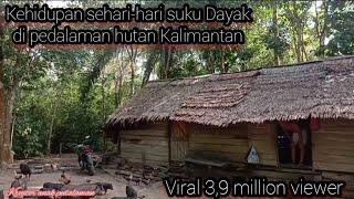 Kehidupan suku Dayak pedalaman Kalimantan