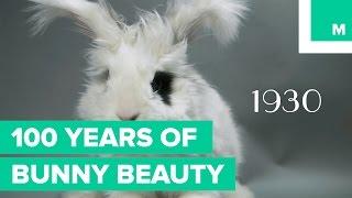100 Years of Bunny Beauty: Playboy's Got Nothing on These Heart-Thumps | Fuzzy Friday