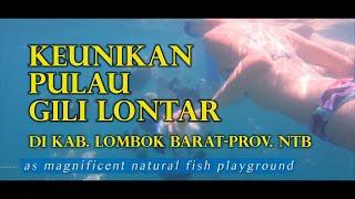 Keunikan Pulau Gili Lontar di Desa Sekotong Barat, Kec. Sekotong, Kab. Lombok Barat, Prov. NTB