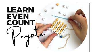 Basic Bead Weaving - Peyote Stitch Tutorial || Even Count || Using BIG BEADS