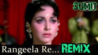 Rangeela Re Tere Rang Mein | Remix | Sumit |