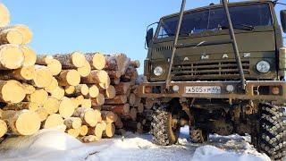 Заготовка древесины зимой. Один день из жизни лесовоза.