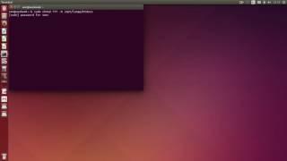 Set Permission to htdocs (lampp ubuntu)