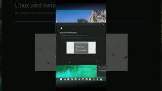 So installiert ihr Apps unter Chrome OS - Chromebook - ChromeOS Flex