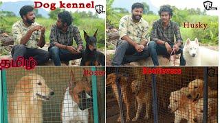 DOGS FOR SALES | Puppy sales | Dog kennel in Tamil Nadu | Dog for sales | Doberman | Husky | TAMIL
