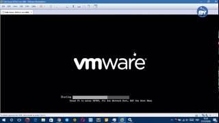 How to Fix The VMware Authorization Service is not running