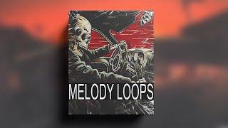 [FREE] SAMPLE PACK / LOOP KIT (Melody loops) loop pack | vol.130