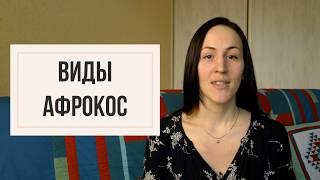 Урок №2 Виды афрокосичек | точечные косы, каркасы, д.е., с.е.