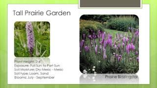 Plants for a Tall Prairie Garden