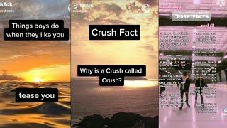 Crush facts Tik Tok Compilation 