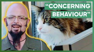 Jackson Galaxy Helps A Cat With Severe Separation Anxiety | My Cat From Hell