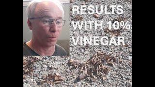 Is 10% Vinegar The Solution To Get Rid of Weeds In Your Driveway?