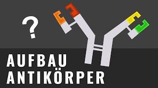 Wie zeichnet man Antikörper? | Aufbau Antikörper | Biologie einfach erklärt | Abitur-Wissen