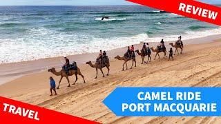 Port Macquarie Camel Ride Review - Things to do with Kids