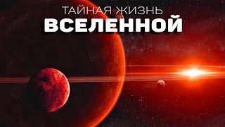 Сборник - Звезды и космос. Новая жизнь Вселенной  [Третий сезон. Эпизод 7]