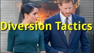 What Meghan and Harry Are Up To!