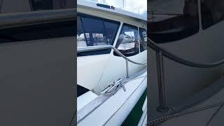 Greenline hybrid yacht