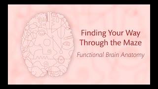 1.2 Functional Brain Anatomy - Finding Your Way Through the Maze
