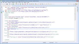 Cross Site Scripting JSP Basics