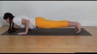 Yoga Chaturanga Dandasana Instruction - Shana Meyerson YOGAthletica